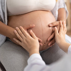 WHS - Pregnancy Care - Banner